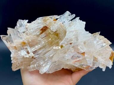 Gypsum forms as crystals