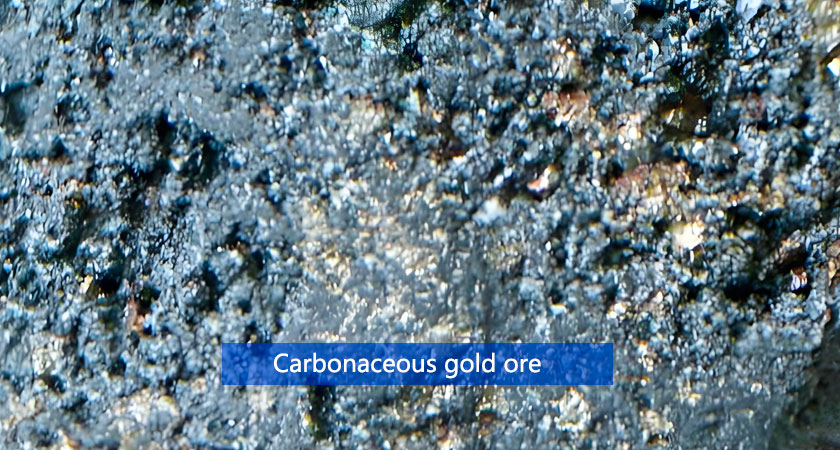 Carbonaceous gold ore