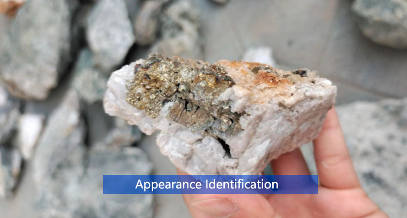 Appearance identification