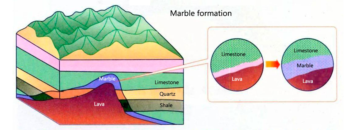 Formation of natural marble